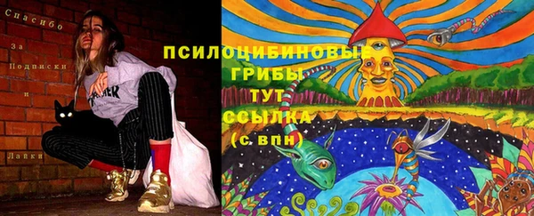 а пвп мука Гусев