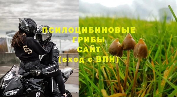 не бодяженный Гусиноозёрск