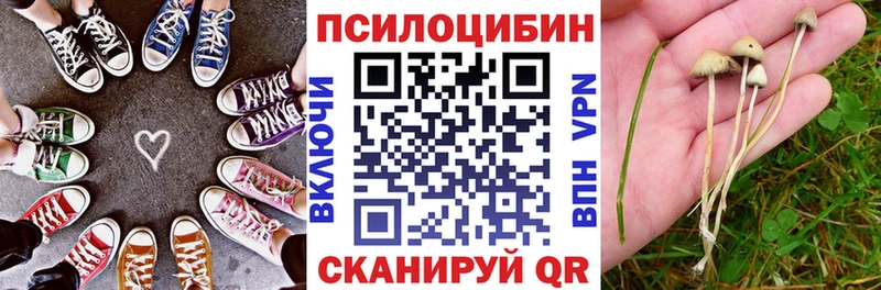 МЕГА как зайти  Махачкала  Галлюциногенные грибы мицелий  купить наркоту 