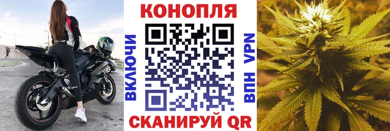 МАРИХУАНА планчик даркнет сайт Махачкала